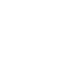 Chicago Positive Impact